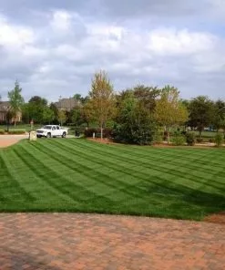 Fast Growing Trees Erosion Control Lesco Tall Fescue Select Grass Seed 8 Fast Growing Trees Erosion Control Lesco Tall Fescue Select Grass Seed