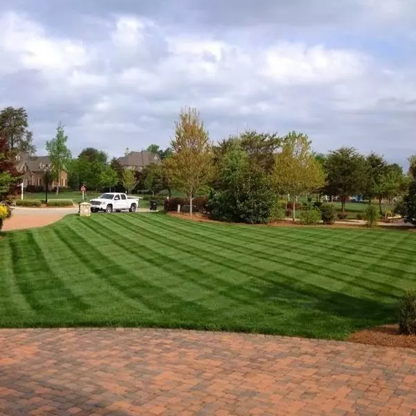 Fast Growing Trees Erosion Control Lesco Tall Fescue Select Grass Seed 5 Fast Growing Trees Erosion Control Lesco Tall Fescue Select Grass Seed