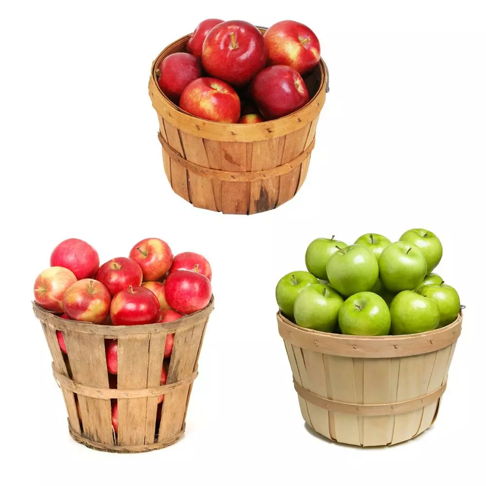 Fast Growing Trees Apple Trees 3-in-1 Apple Tree 4 Fast Growing Trees Apple Trees 3-in-1 Apple Tree