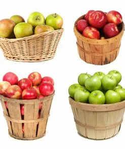 Fast Growing Trees Apple Trees 4-in-1 Apple Tree