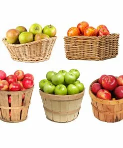 Fast Growing Trees 5-in-1 Apple Tree Apple Trees