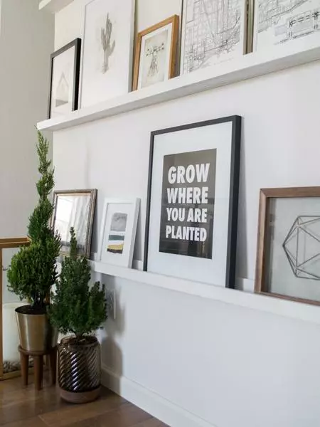 Fast Growing Trees Dwarf Alberta Spruce Gift Plant Spruce Trees 6 Fast Growing Trees Dwarf Alberta Spruce Gift Plant Spruce Trees