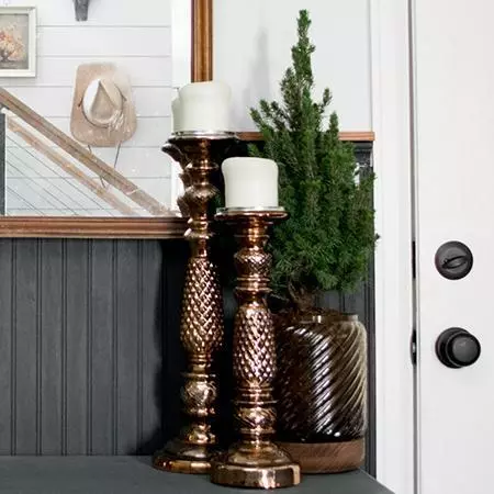 Fast Growing Trees Dwarf Alberta Spruce Gift Plant Spruce Trees 4 Fast Growing Trees Dwarf Alberta Spruce Gift Plant Spruce Trees