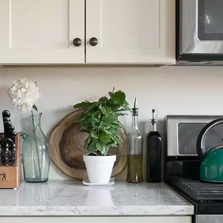 Fast Growing Trees Arabica Coffee Gift Plant See All House & Patio 4 Fast Growing Trees Arabica Coffee Gift Plant See All House & Patio