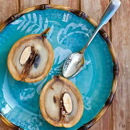 Fast Growing Trees Abiu Tree 5 Fast Growing Trees Abiu Tree