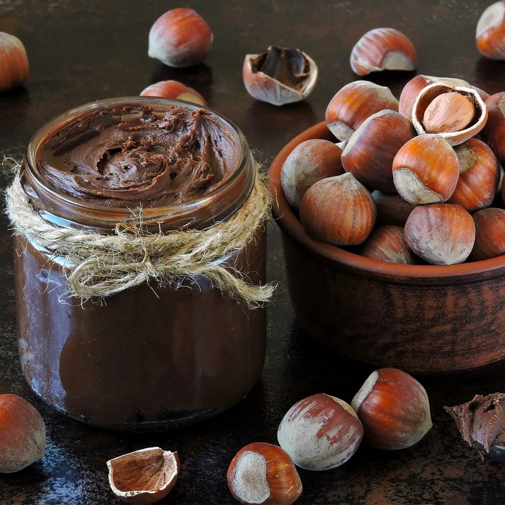 Fast Growing Trees American Hazelnut Filbert Nut Trees 8 Fast Growing Trees American Hazelnut Filbert Nut Trees