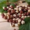 Fast Growing Trees American Hazelnut Filbert Nut Trees 2 Fast Growing Trees American Hazelnut Filbert Nut Trees