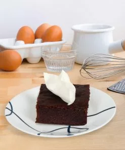 Fast Growing Trees American Persimmon Tree Persimmon Trees 14 Fast Growing Trees American Persimmon Tree Persimmon Trees