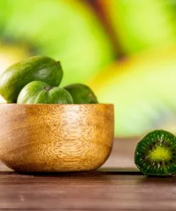 Fast Growing Trees See All Fruit Trees Anna Hardy Kiwi 10 Fast Growing Trees See All Fruit Trees Anna Hardy Kiwi