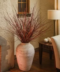 Fast Growing Trees Dogwood Trees Arctic Fire Red Twig Dogwood 12 Fast Growing Trees Dogwood Trees Arctic Fire Red Twig Dogwood