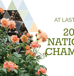 Fast Growing Trees At Last® Rose 9 Fast Growing Trees At Last® Rose