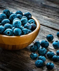 Fast Growing Trees Blueberry Bushes Aurora Blueberry Bush