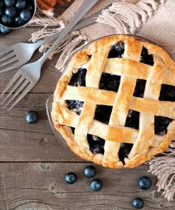 Fast Growing Trees Blueberry Bushes Aurora Blueberry Bush