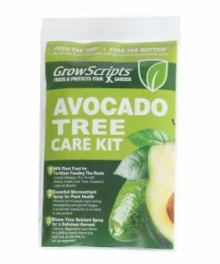 Fast Growing Trees Avocado Tree Care Kit