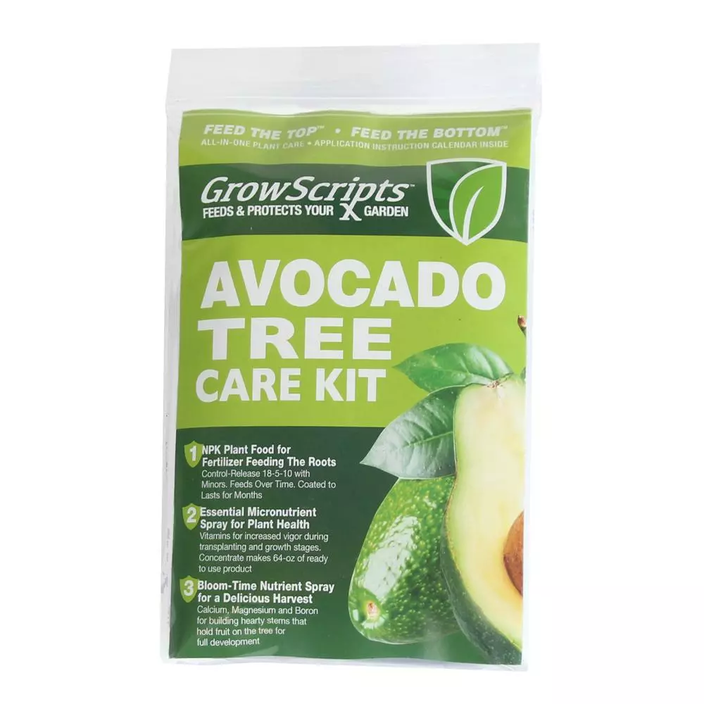 Fast Growing Trees Avocado Tree Care Kit 4 Fast Growing Trees Avocado Tree Care Kit