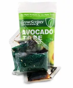 Fast Growing Trees Avocado Tree Care Kit 9 Fast Growing Trees Avocado Tree Care Kit
