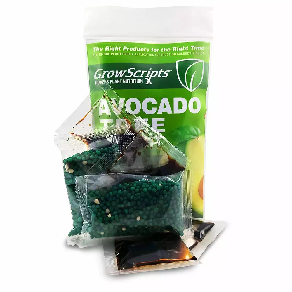 Fast Growing Trees Avocado Tree Care Kit 5 Fast Growing Trees Avocado Tree Care Kit