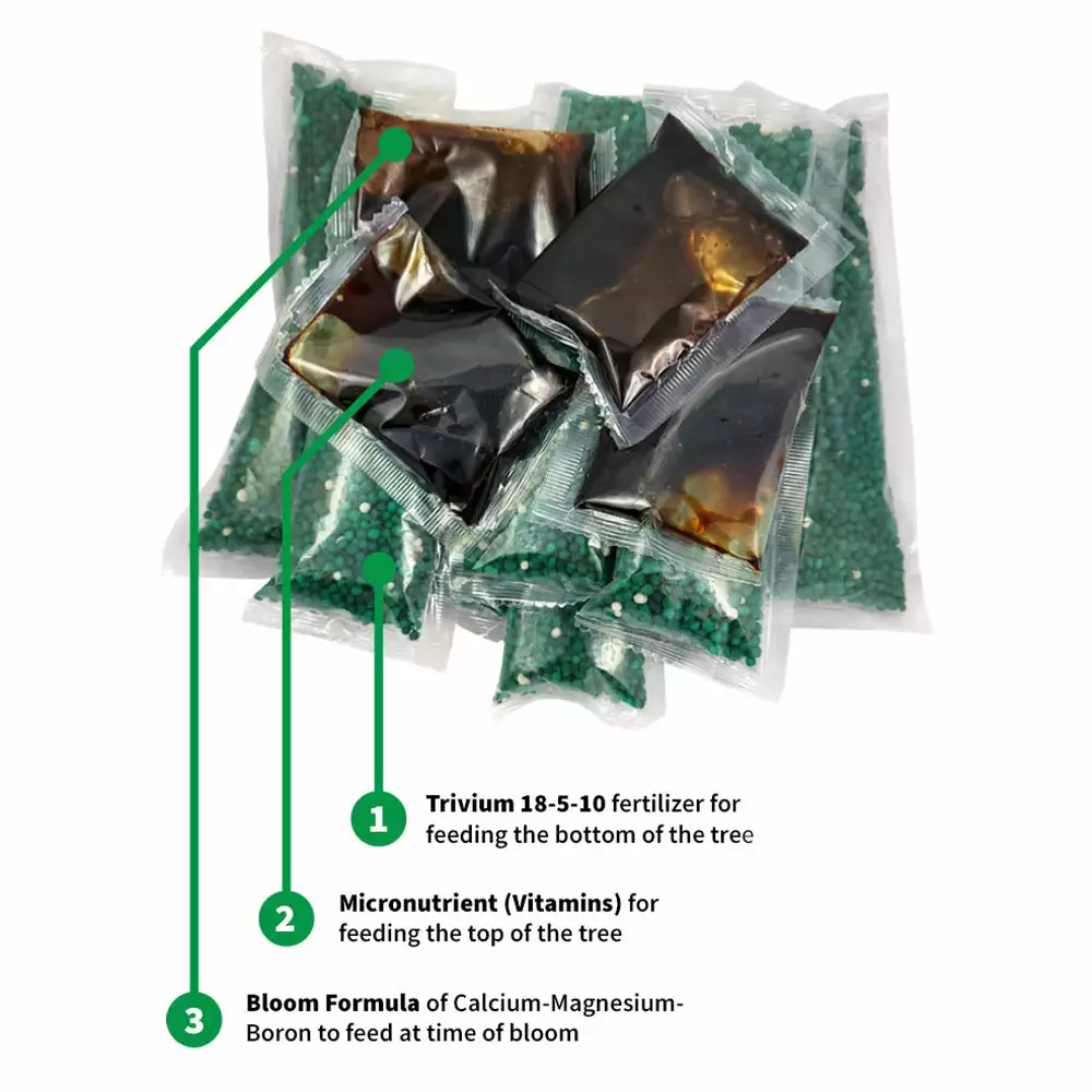 Fast Growing Trees Avocado Tree Care Kit 6 Fast Growing Trees Avocado Tree Care Kit