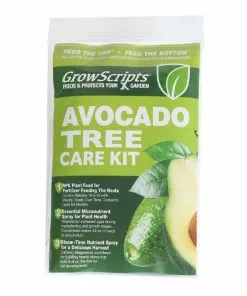 Fast Growing Trees Avocado Tree Care Kit