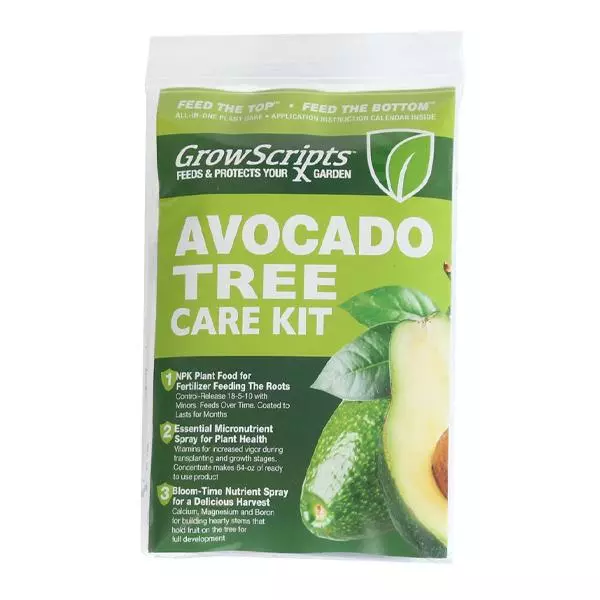 Fast Growing Trees Avocado Tree Care Kit 3 Fast Growing Trees Avocado Tree Care Kit