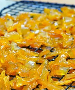 Fast Growing Trees Citrus Trees Buddha's Hand Citron 13 Fast Growing Trees Citrus Trees Buddha's Hand Citron