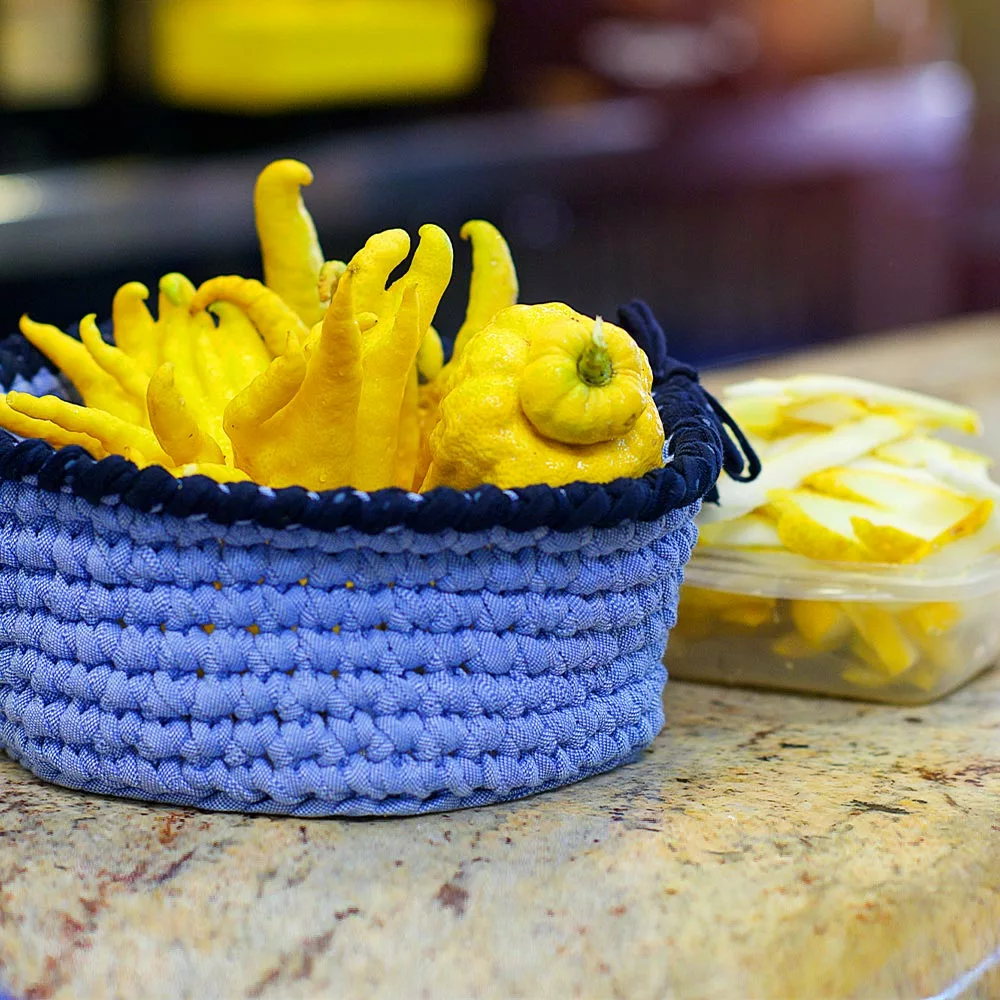 Fast Growing Trees Buddha's Hand Citron Tree 6 Fast Growing Trees Buddha's Hand Citron Tree