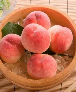 Fast Growing Trees Babcock Peach Tree Peach Trees 10 Fast Growing Trees Babcock Peach Tree Peach Trees