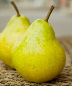 Fast Growing Trees Bartlett Pear Tree Pear Trees 8 Fast Growing Trees Bartlett Pear Tree Pear Trees