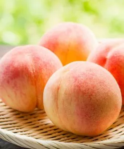 Fast Growing Trees Belle Of Georgia Peach Tree (USDA Organic) 9 Fast Growing Trees Belle Of Georgia Peach Tree (USDA Organic)