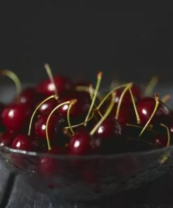 Fast Growing Trees Black Tartarian Cherry Tree 10 Fast Growing Trees Black Tartarian Cherry Tree