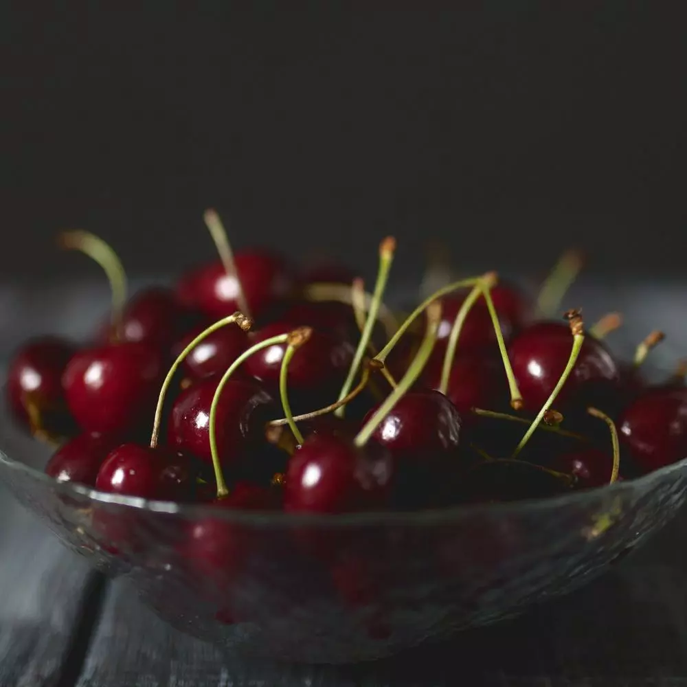 Fast Growing Trees Black Tartarian Cherry Tree 6 Fast Growing Trees Black Tartarian Cherry Tree