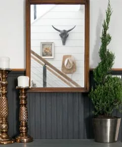 Fast Growing Trees Blue Point Spiral Juniper Gift Plant Juniper Trees