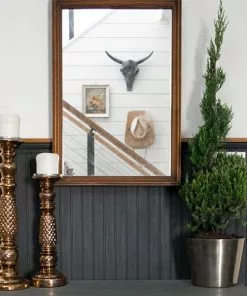 Fast Growing Trees Blue Point Spiral Juniper Gift Plant Juniper Trees