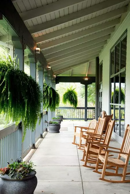 Fast Growing Trees Boston Fern See All House & Patio 6 Fast Growing Trees Boston Fern See All House & Patio