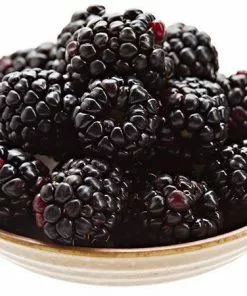 Fast Growing Trees Groundcover & Vines Boysenberry Bush - Thornless