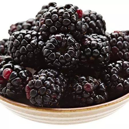 Fast Growing Trees Groundcover & Vines Boysenberry Bush - Thornless 4 Fast Growing Trees Groundcover & Vines Boysenberry Bush - Thornless