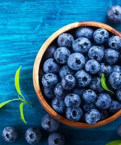 Fast Growing Trees Blueberry Bushes Brightwell Blueberry 11 Fast Growing Trees Blueberry Bushes Brightwell Blueberry