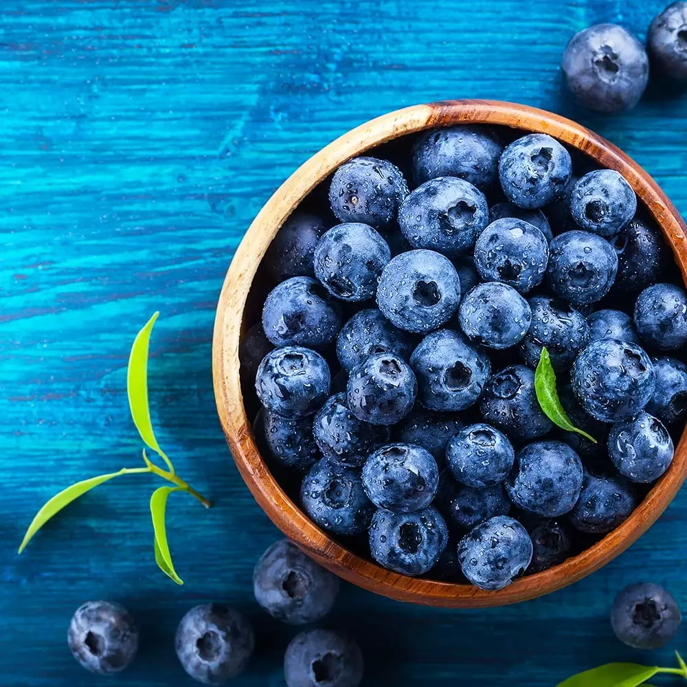 Fast Growing Trees Blueberry Bushes Brightwell Blueberry 6 Fast Growing Trees Blueberry Bushes Brightwell Blueberry