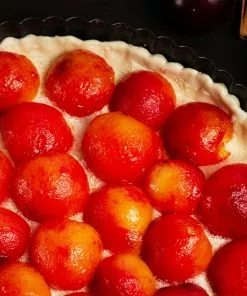 Fast Growing Trees Bubblegum 'Toka' Plum Tree Plum Trees 11 Fast Growing Trees Bubblegum 'Toka' Plum Tree Plum Trees