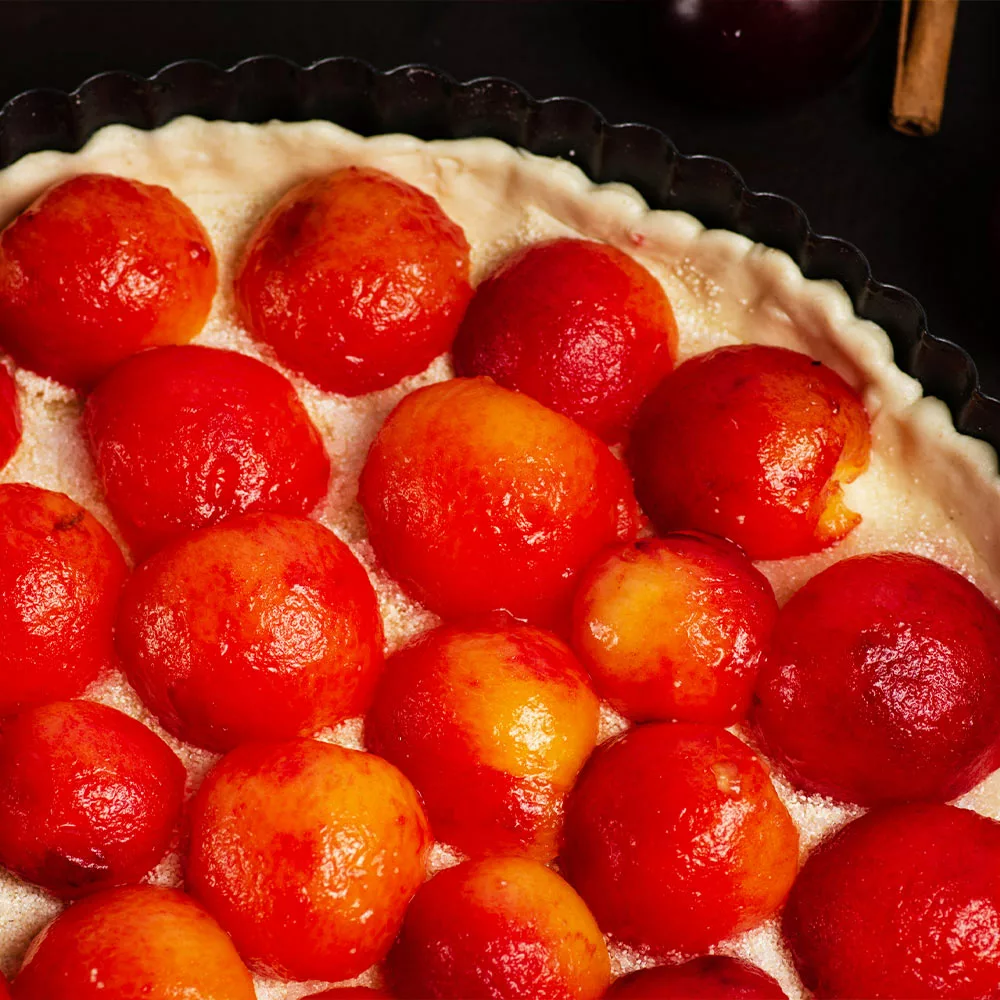 Fast Growing Trees Bubblegum 'Toka' Plum Tree Plum Trees 7 Fast Growing Trees Bubblegum 'Toka' Plum Tree Plum Trees