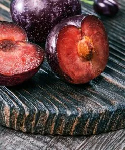 Fast Growing Trees Burgundy Plum Tree 8 Fast Growing Trees Burgundy Plum Tree