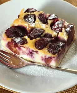 Fast Growing Trees Burgundy Plum Tree 11 Fast Growing Trees Burgundy Plum Tree