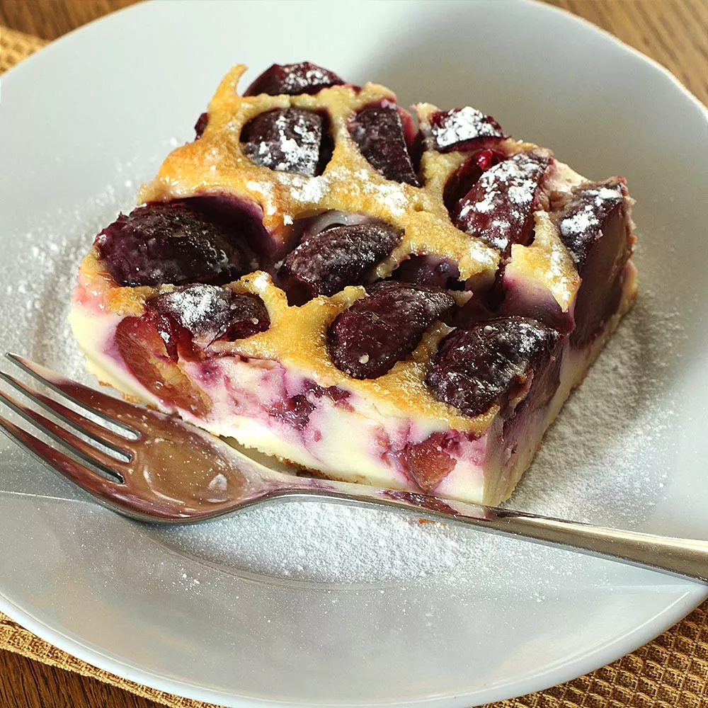 Fast Growing Trees Burgundy Plum Tree 7 Fast Growing Trees Burgundy Plum Tree