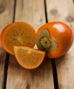 Fast Growing Trees Chocolate Persimmon Tree