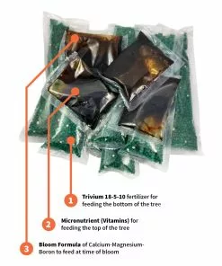 Fast Growing Trees Citrus Tree Care Kit Garden Supplies 10 Fast Growing Trees Citrus Tree Care Kit Garden Supplies