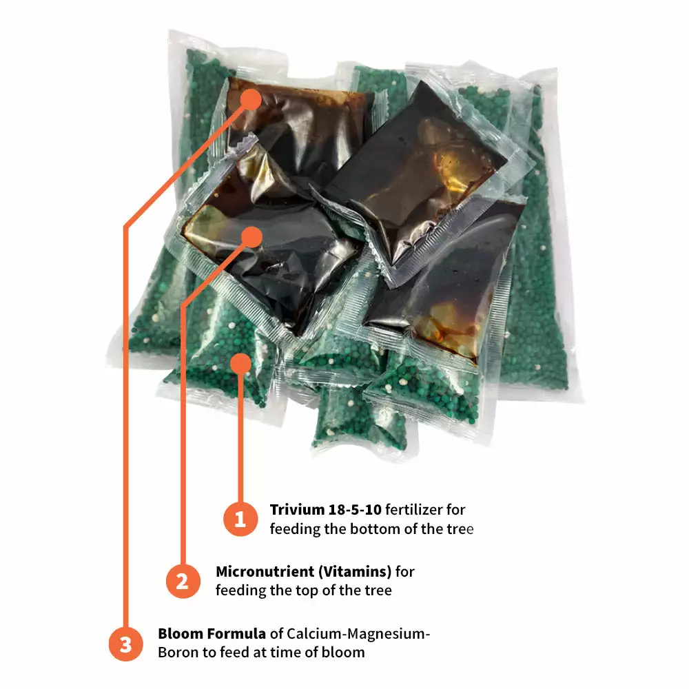 Fast Growing Trees Citrus Tree Care Kit Garden Supplies 6 Fast Growing Trees Citrus Tree Care Kit Garden Supplies