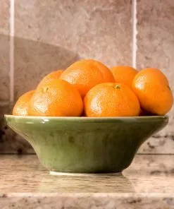 Fast Growing Trees Calamondin Bush 9 Fast Growing Trees Calamondin Bush