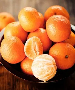 Fast Growing Trees Citrus Trees California Honey Mandarin Tree 10 Fast Growing Trees Citrus Trees California Honey Mandarin Tree