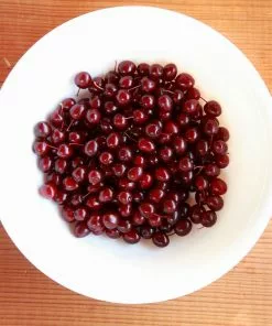 Fast Growing Trees Canada Red Chokecherry Tree See All Fruit Trees 9 Fast Growing Trees Canada Red Chokecherry Tree See All Fruit Trees