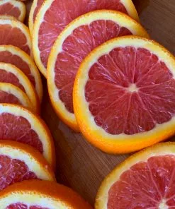 Fast Growing Trees Citrus Trees Cara Cara Orange Tree 12 Fast Growing Trees Citrus Trees Cara Cara Orange Tree